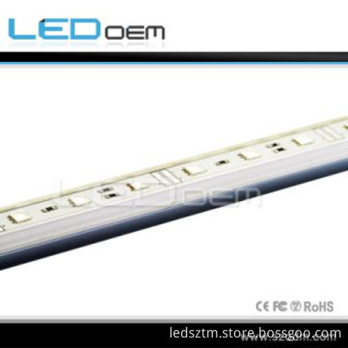 Outdoor Strip Lights with Controler